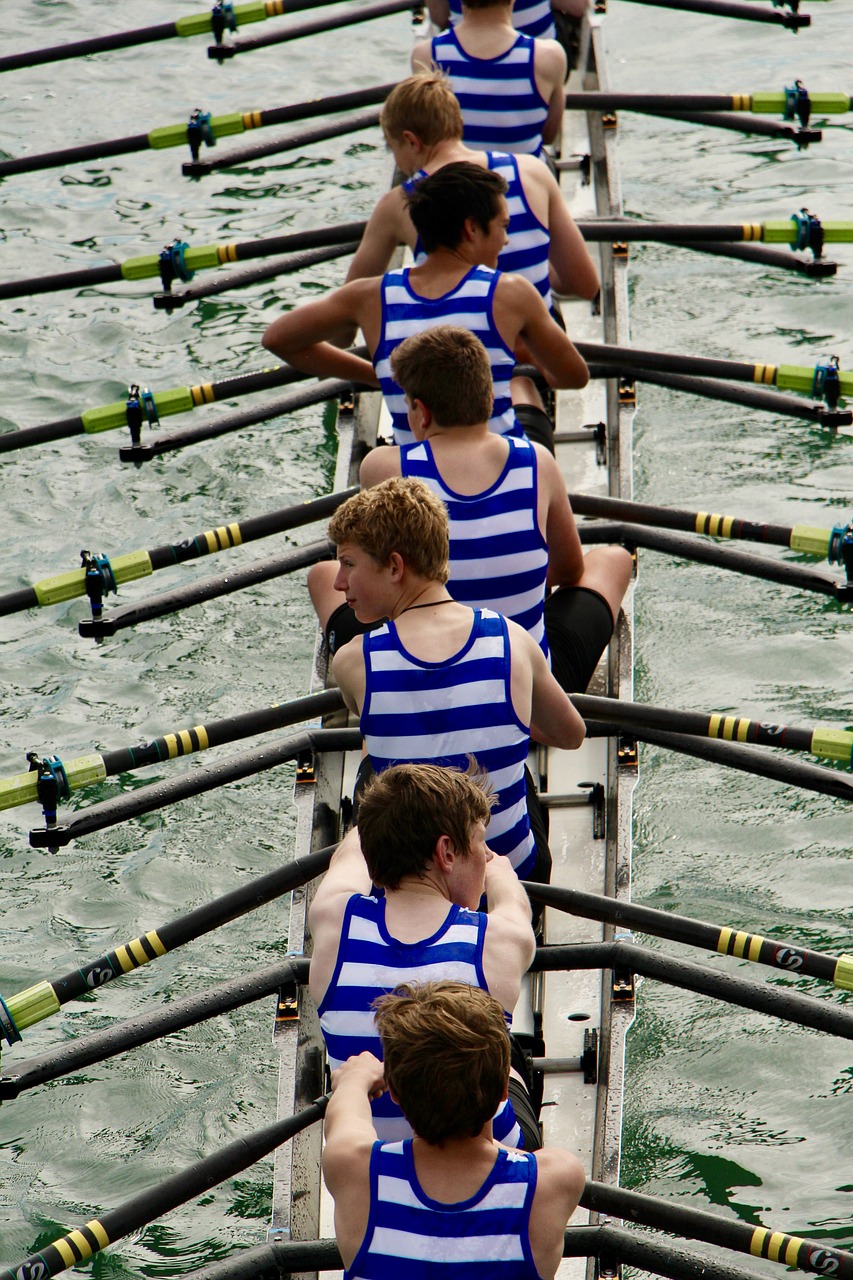 row, rowing, nature-4476112.jpg
